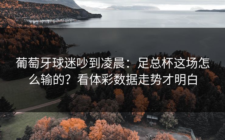 葡萄牙球迷吵到凌晨：足总杯这场怎么输的？看体彩数据走势才明白