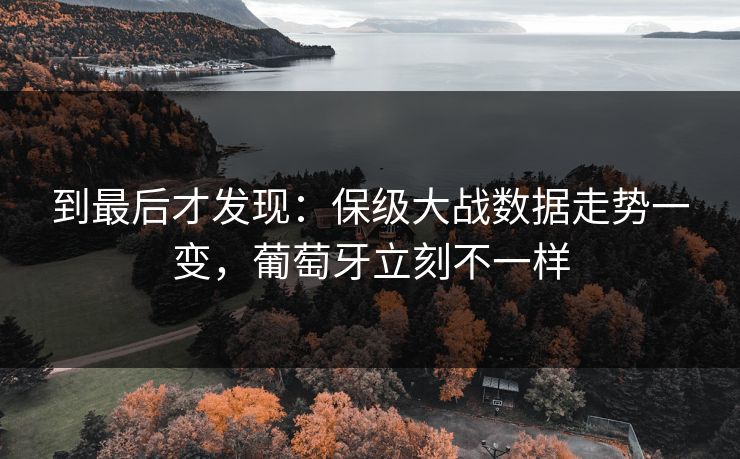 到最后才发现：保级大战数据走势一变，葡萄牙立刻不一样  第1张