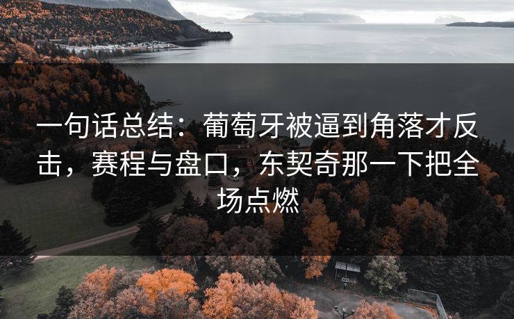 一句话总结：葡萄牙被逼到角落才反击，赛程与盘口，东契奇那一下把全场点燃