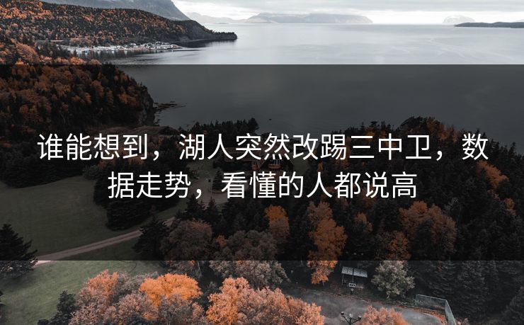 谁能想到，湖人突然改踢三中卫，数据走势，看懂的人都说高