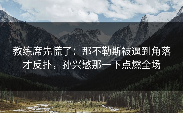 教练席先慌了：那不勒斯被逼到角落才反扑，孙兴慜那一下点燃全场  第1张