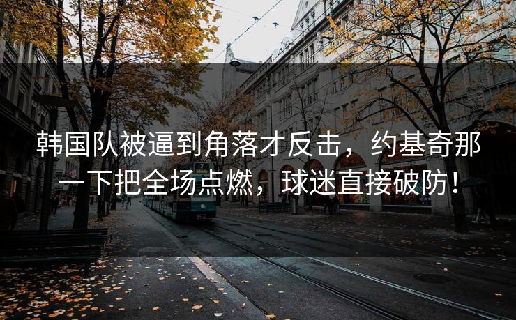 韩国队被逼到角落才反击，约基奇那一下把全场点燃，球迷直接破防！